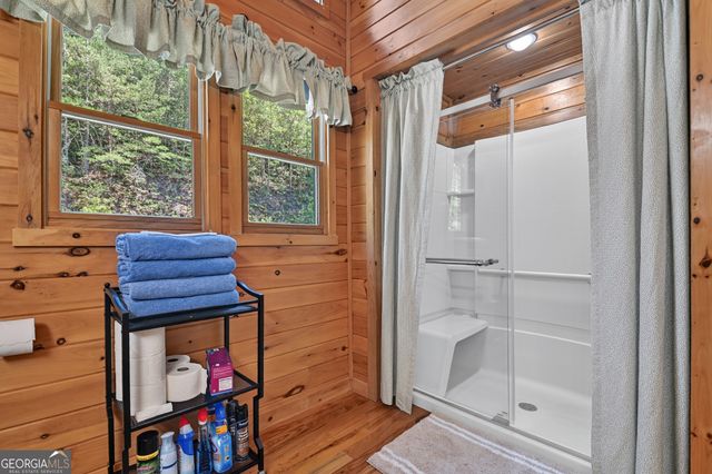 260 Down Under Road, Blue Ridge, GA 30513