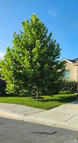 5781 Companion, Bulverde, TX 78163