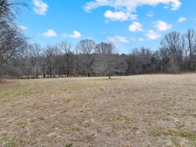 0 Clyde Gleaves Rd, Wartrace, TN 37183