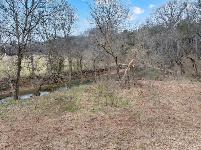 0 Clyde Gleaves Rd, Wartrace, TN 37183