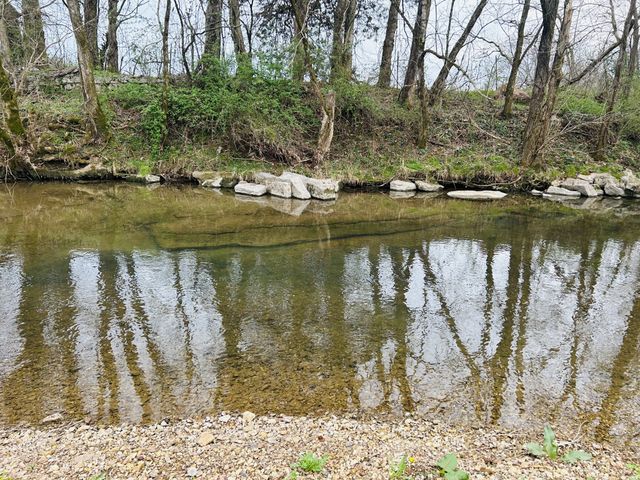 0 Clyde Gleaves Rd, Wartrace, TN 37183
