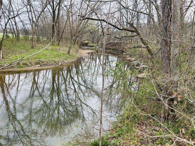 0 Clyde Gleaves Rd, Wartrace, TN 37183