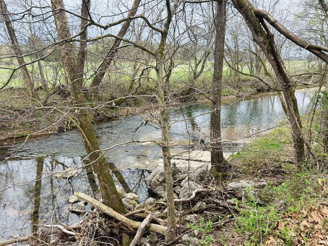 0 Clyde Gleaves Rd, Wartrace, TN 37183