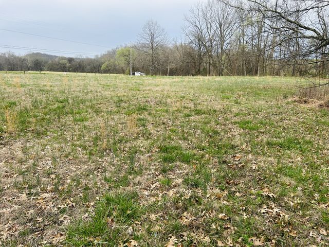 0 Clyde Gleaves Rd, Wartrace, TN 37183