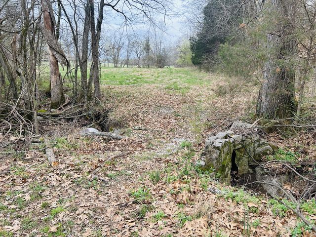 0 Clyde Gleaves Rd, Wartrace, TN 37183