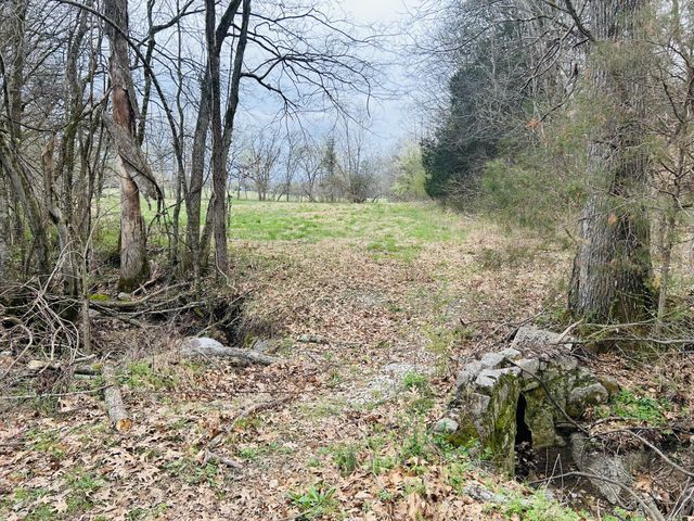 0 Clyde Gleaves Rd, Wartrace, TN 37183