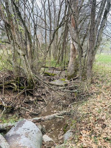 0 Clyde Gleaves Rd, Wartrace, TN 37183