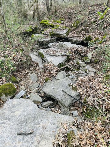 0 Clyde Gleaves Rd, Wartrace, TN 37183