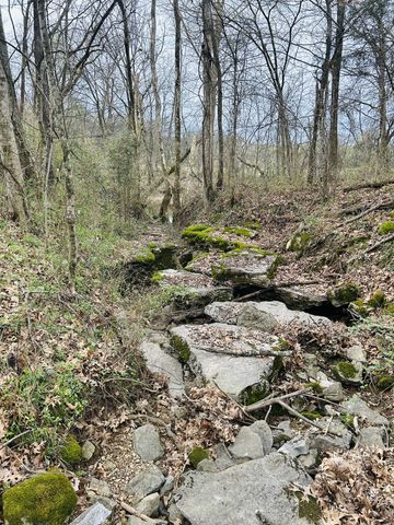 0 Clyde Gleaves Rd, Wartrace, TN 37183