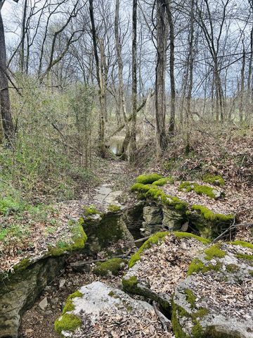 0 Clyde Gleaves Rd, Wartrace, TN 37183