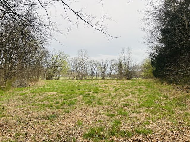 0 Clyde Gleaves Rd, Wartrace, TN 37183