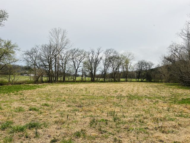 0 Clyde Gleaves Rd, Wartrace, TN 37183