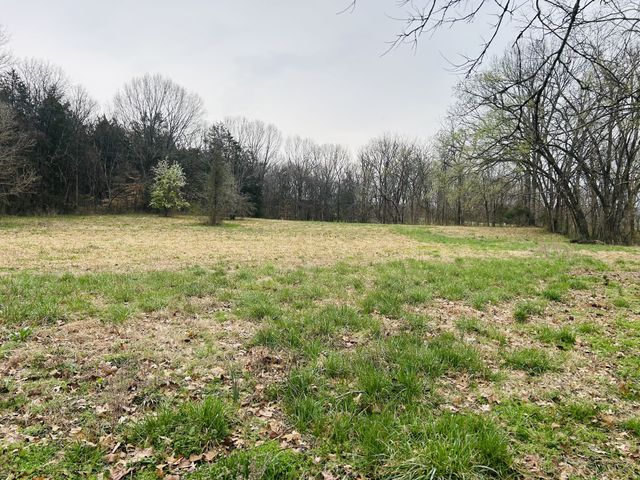 0 Clyde Gleaves Rd, Wartrace, TN 37183