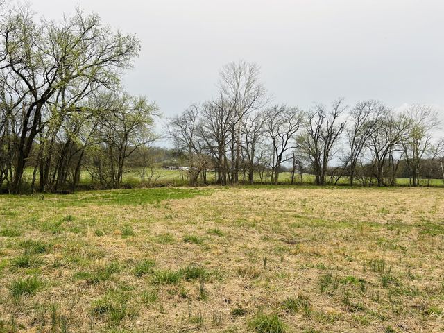 0 Clyde Gleaves Rd, Wartrace, TN 37183