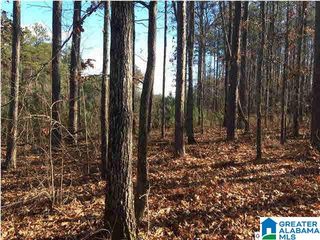 66 HAINES DRIVE, Vincent, AL 35178
