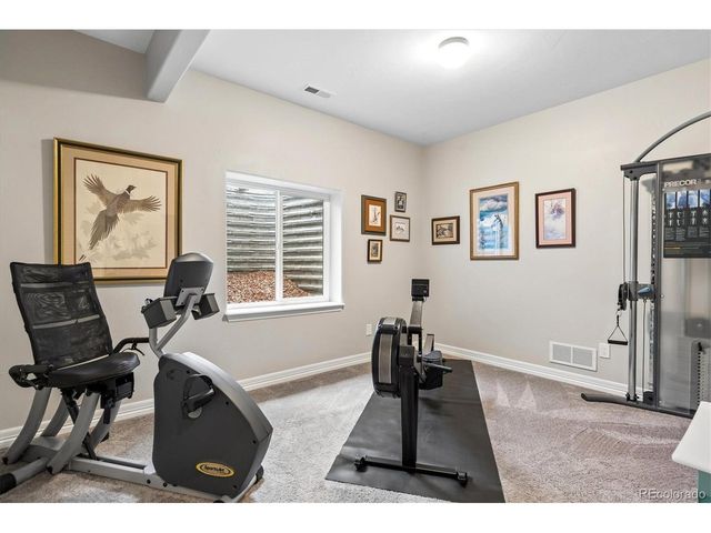 1215 Night Blue Cir, Monument, CO 80132