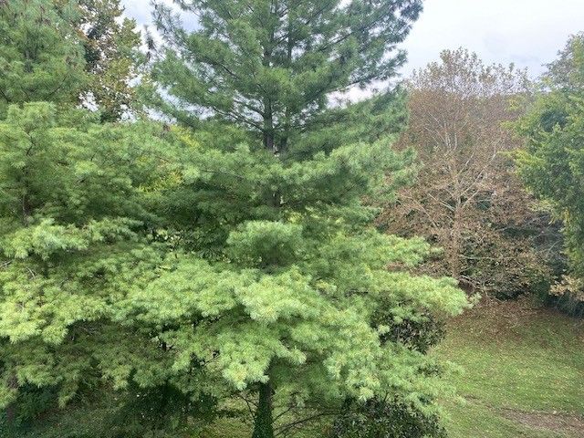 409 Ashlawn Ct, Nashville, TN 37215