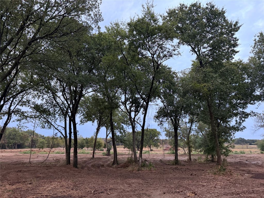 4772 County Road 707, Alvarado, TX 76009 — photo 4