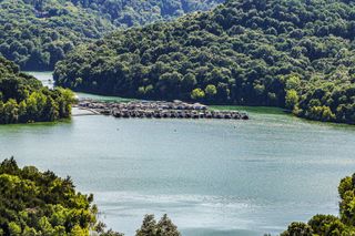 0 Seaton Dr, Smithville, TN 37166