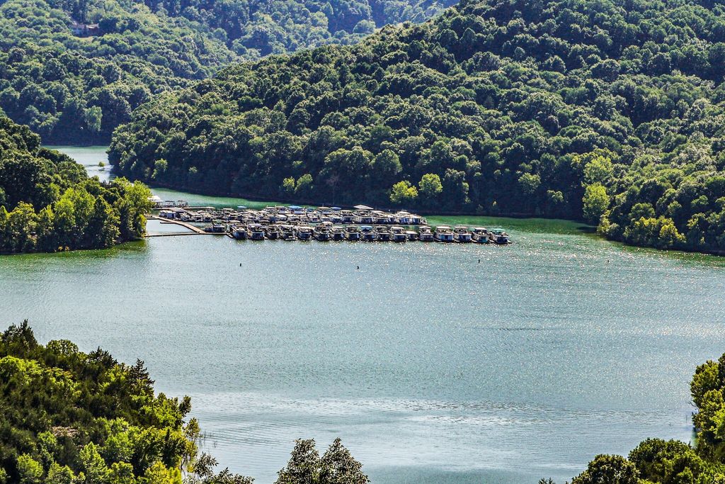 0 Seaton Dr, Smithville, TN 37166