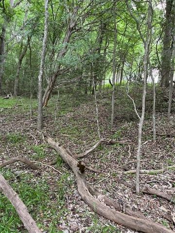 Lot 1099 Moku Manu DR, Bastrop, TX 78602