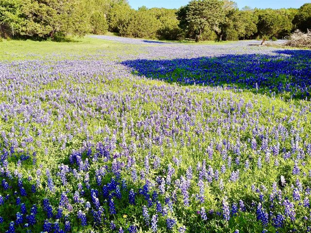 5777 County Road 309, Cranfills Gap, TX 76637