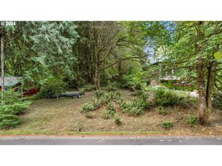 9842 BEACH Dr, Birkenfeld, OR 97016