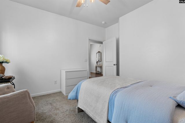 623 Autumn Shiloh Drive, Chapin, SC 29036