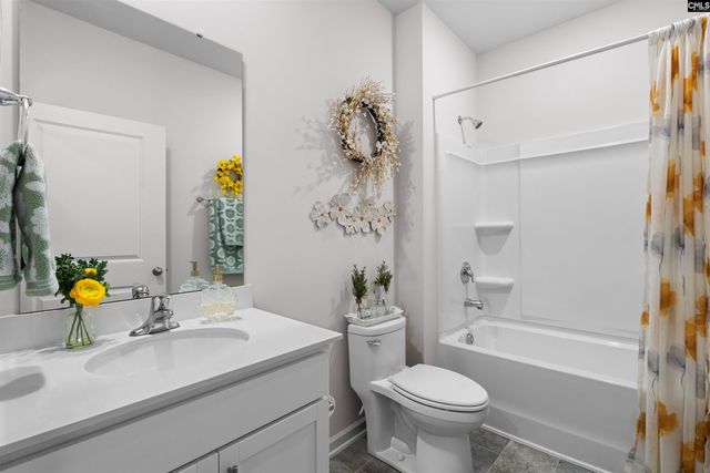 623 Autumn Shiloh Drive, Chapin, SC 29036