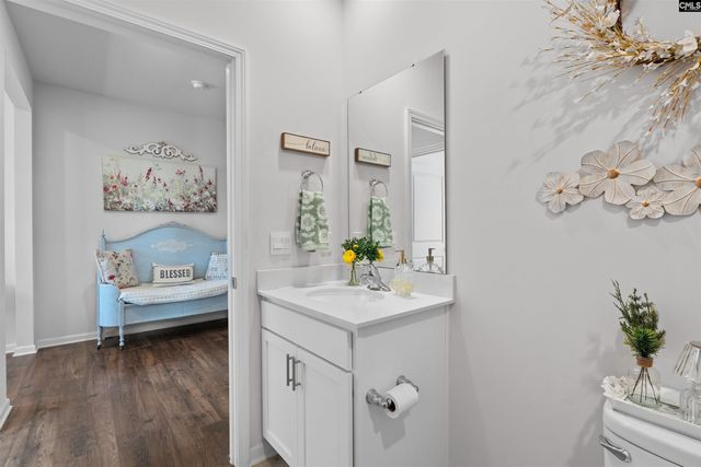 623 Autumn Shiloh Drive, Chapin, SC 29036