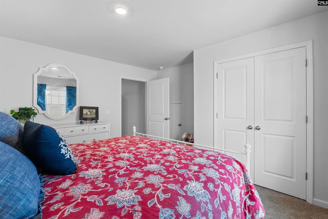 623 Autumn Shiloh Drive, Chapin, SC 29036