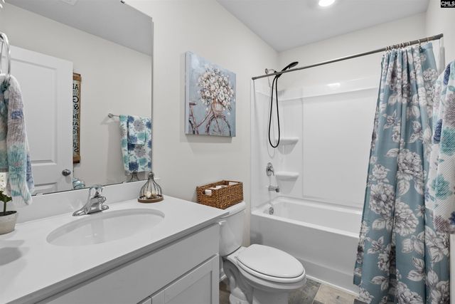 623 Autumn Shiloh Drive, Chapin, SC 29036