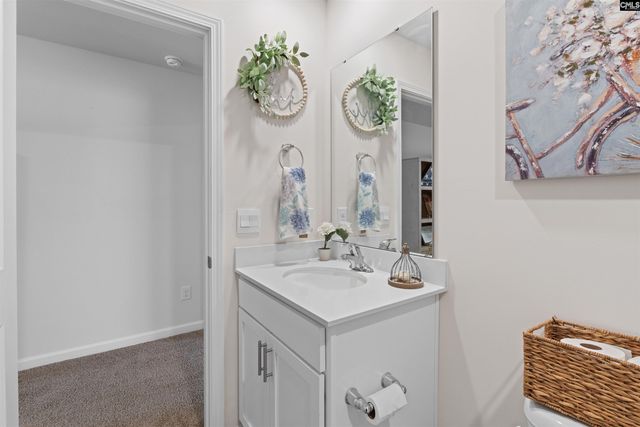 623 Autumn Shiloh Drive, Chapin, SC 29036