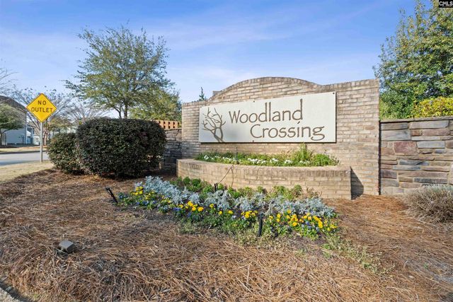 623 Autumn Shiloh Drive, Chapin, SC 29036