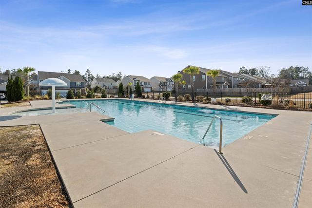 623 Autumn Shiloh Drive, Chapin, SC 29036