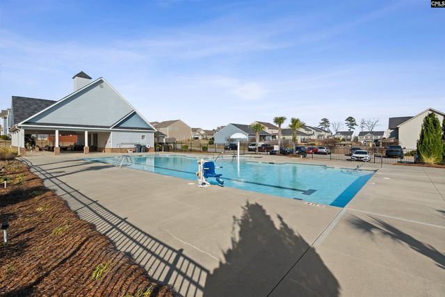 623 Autumn Shiloh Drive, Chapin, SC 29036