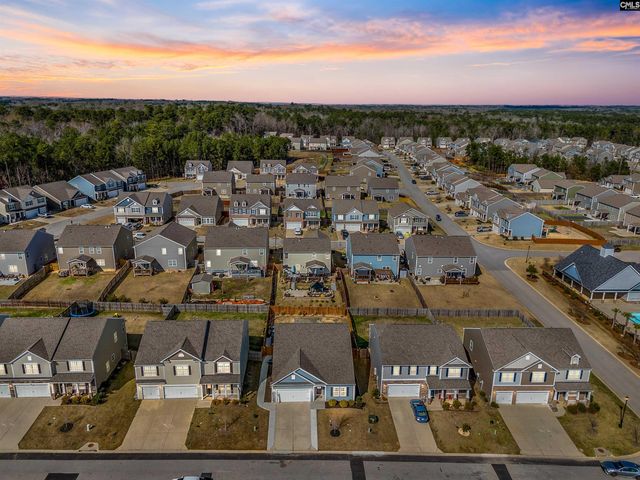 623 Autumn Shiloh Drive, Chapin, SC 29036