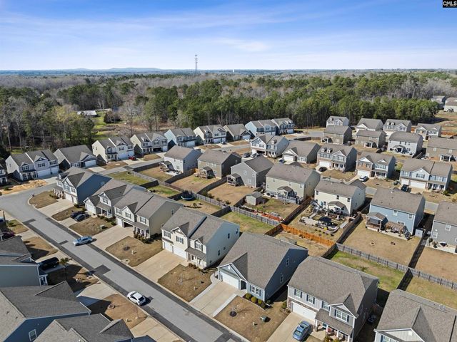 623 Autumn Shiloh Drive, Chapin, SC 29036