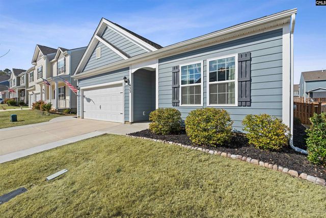 623 Autumn Shiloh Drive, Chapin, SC 29036