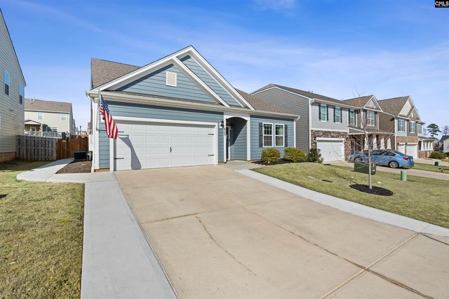 623 Autumn Shiloh Drive, Chapin, SC 29036