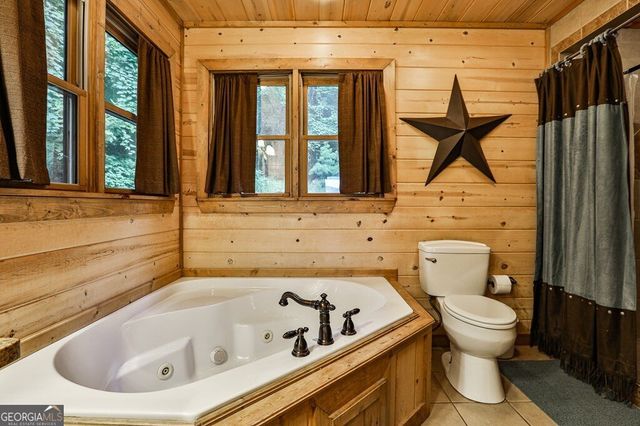 175 Cochise Road 19, Blue Ridge, GA 30513