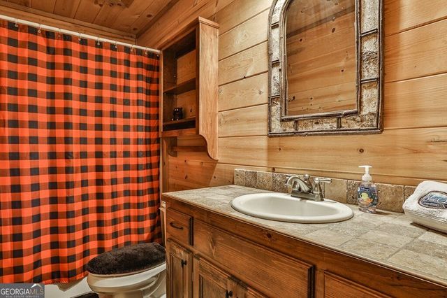 175 Cochise Road 19, Blue Ridge, GA 30513