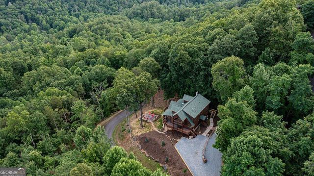 175 Cochise Road 19, Blue Ridge, GA 30513