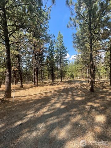 12 Caribou Road, Tonasket, WA 98855