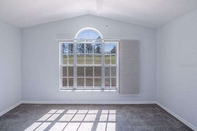 36629 FRAZEE HILL ROAD, Dade City, FL 33523