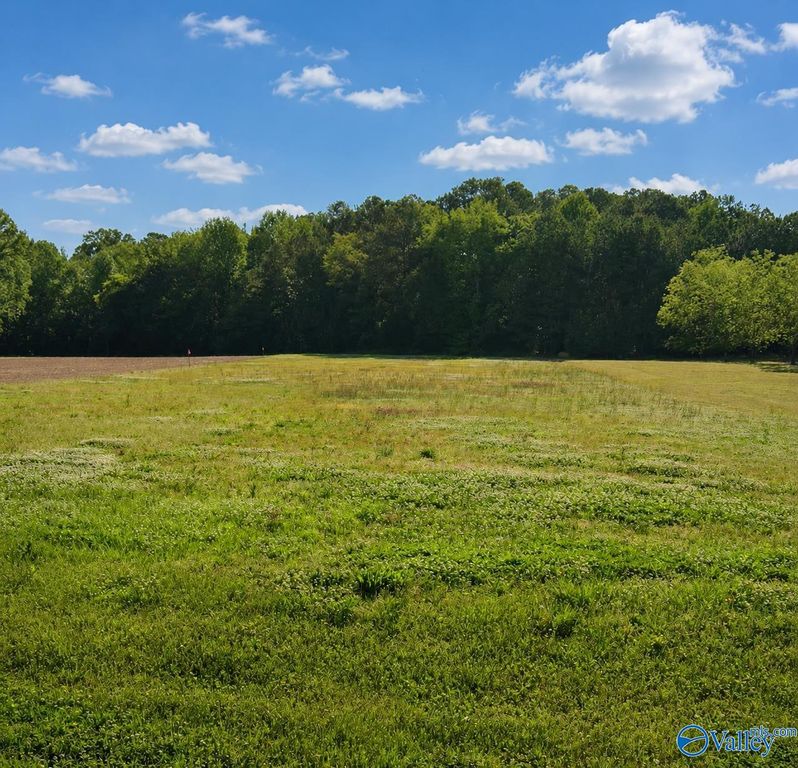 11650 Burgreen Road, Madison, AL 35756