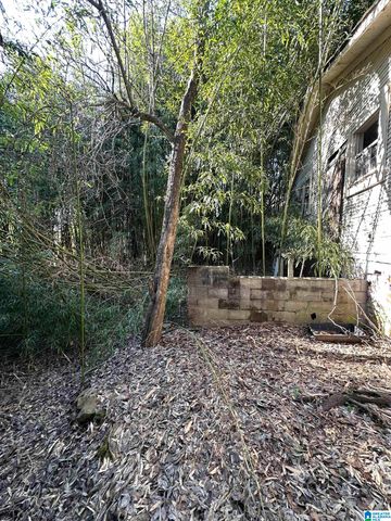 4315 5TH AVENUE, Birmingham, AL 35224