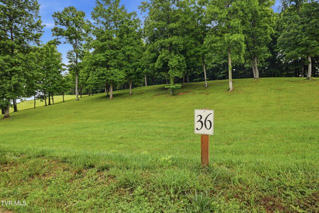 Lot 36 Summerfield Drive, Butler, TN 37640
