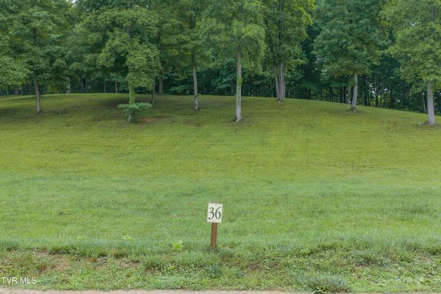 Lot 36 Summerfield Drive, Butler, TN 37640