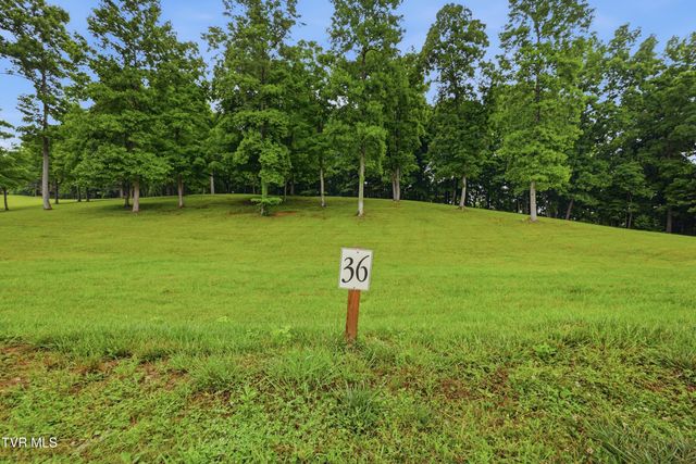 Lot 36 Summerfield Drive, Butler, TN 37640